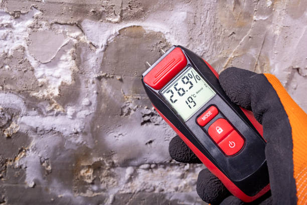Best Mold Testing and Inspection Services in Snyderville, UT